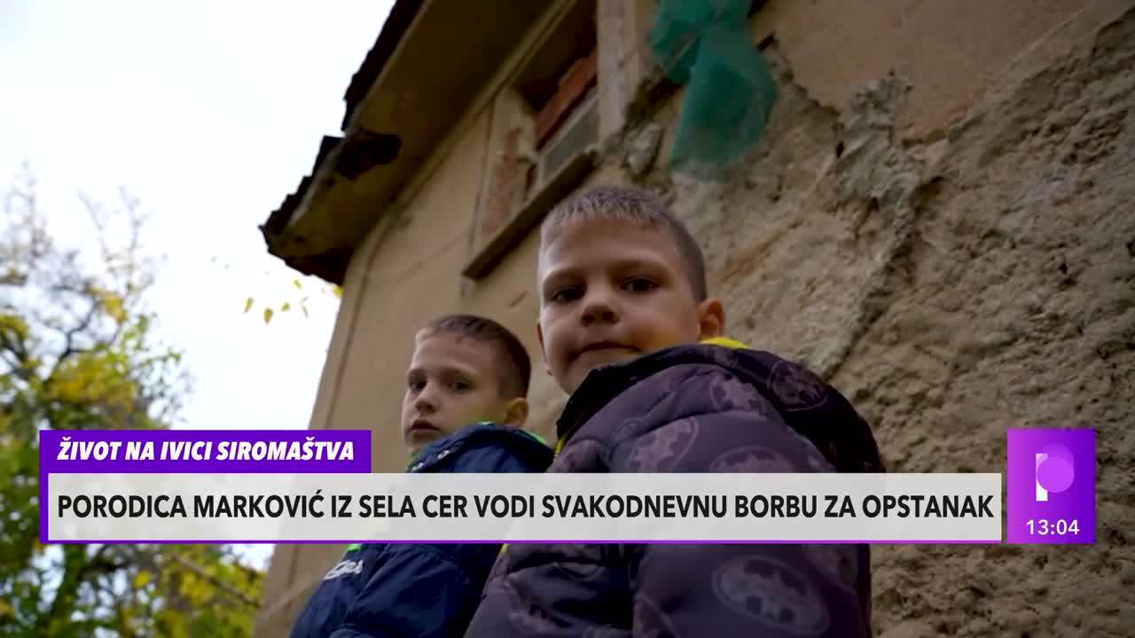 Aleksandar (10) skuplja orahe kako bi zaradio neki dinar: Svakodnevna borba za opstanak porodice Marković