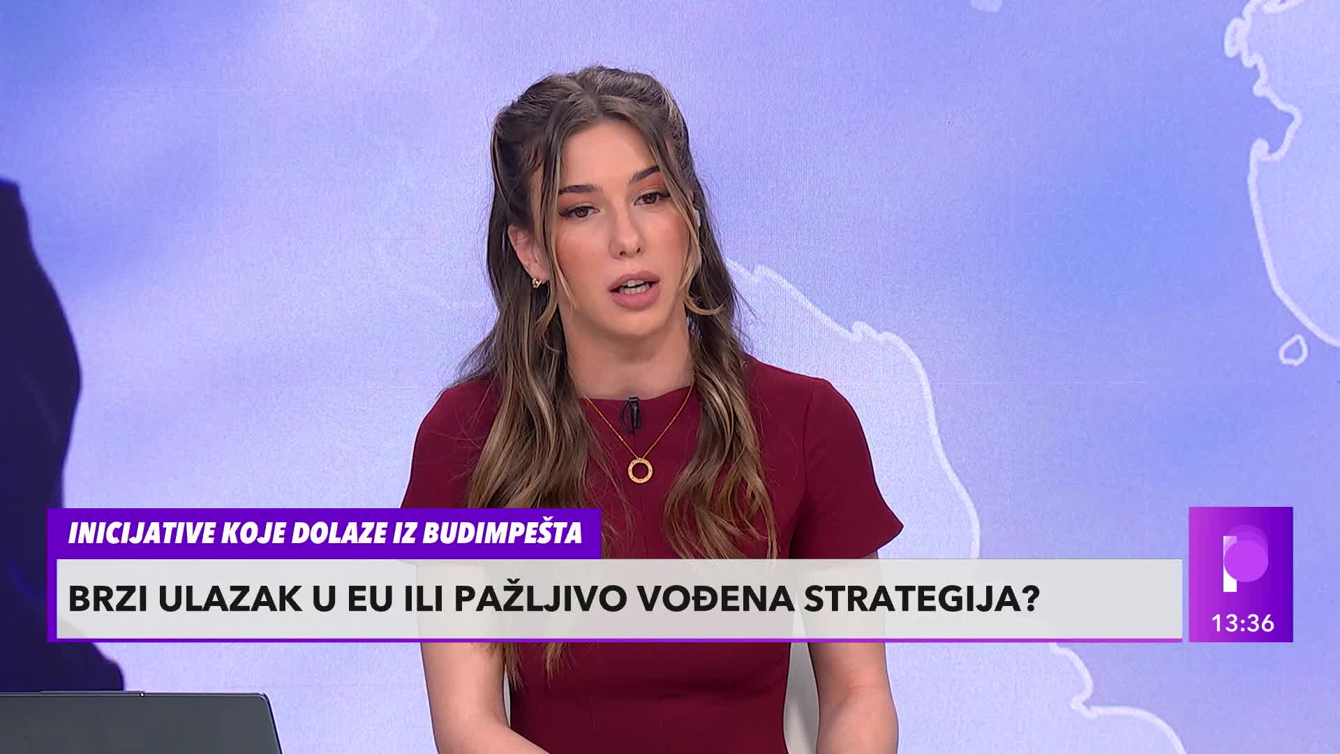 DOES BUDAPEST WANT ITS OWN ALLIES WITHIN THE EU? Rajko Nedić: Orban has made it clear that he does not want Ukraine in the European Union