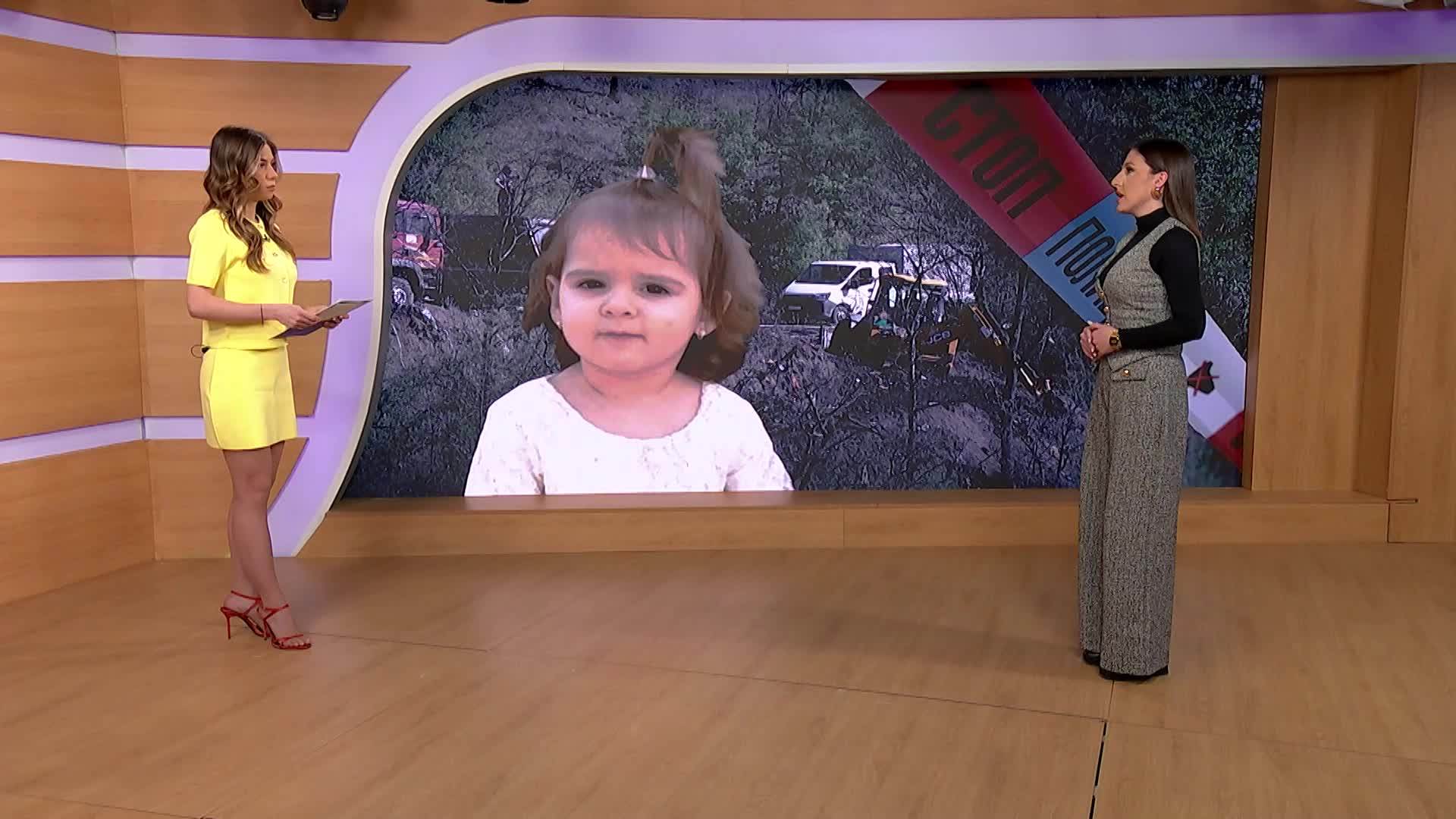 "IT IS ABOUT A TWO-YEAR-OLD CHILD WHO DOES NOT WALK IN A STRAIGHT LINE, BUT RUNS WHILE MOVING" Slađana Nedeljković about the missing Danka Ilić: "The place is still waiting for the truth..."