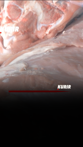 Cover - 2025-11-14T171051.099.png 