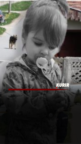 Cover - 2026-02-07T193742.238.png 