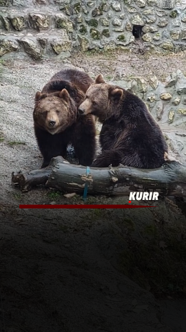 Cover - 2026-02-15T124425.998.png 