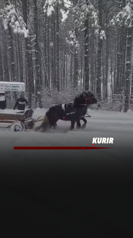 Cover - 2026-02-17T151917.314.png 