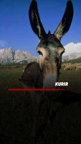 Cover - 2026-04-25T162704.519.png 