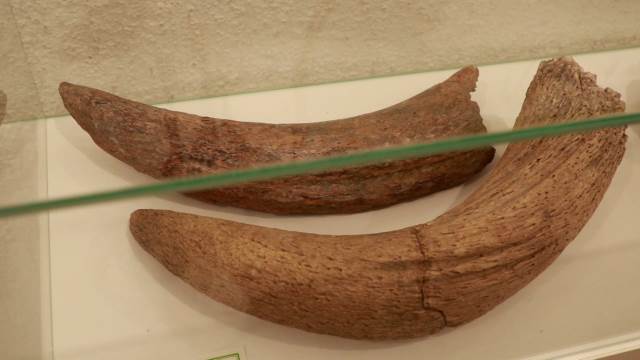 KOJEKUDE E6 KOVIN.00_13_26_11.Still019.jpg 