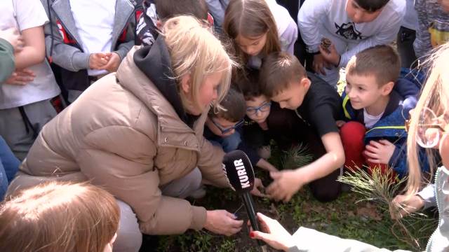  Sequence 02.01_04_04_17.Still002.jpg 