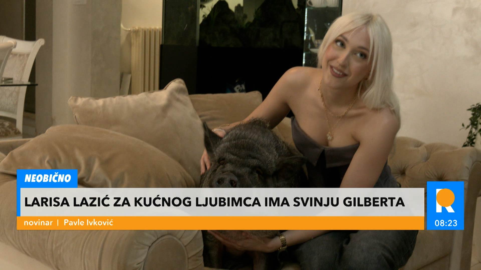 VJZLGL78