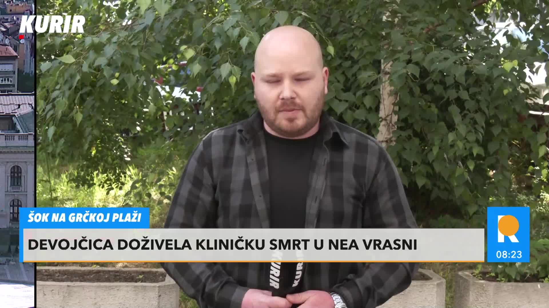 dlvv1DVl