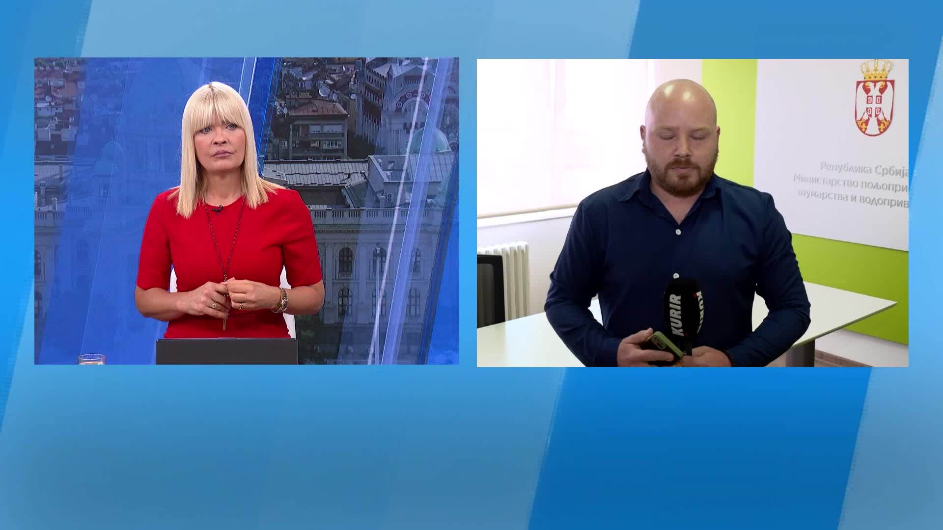 VlGoQZvl